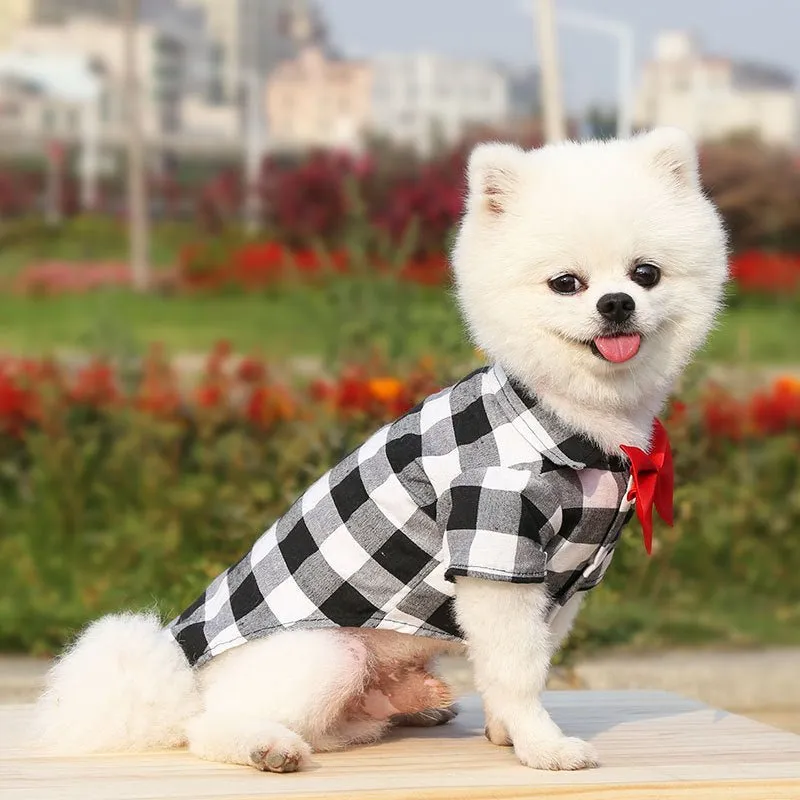 Bowtie Dog T-Shirts