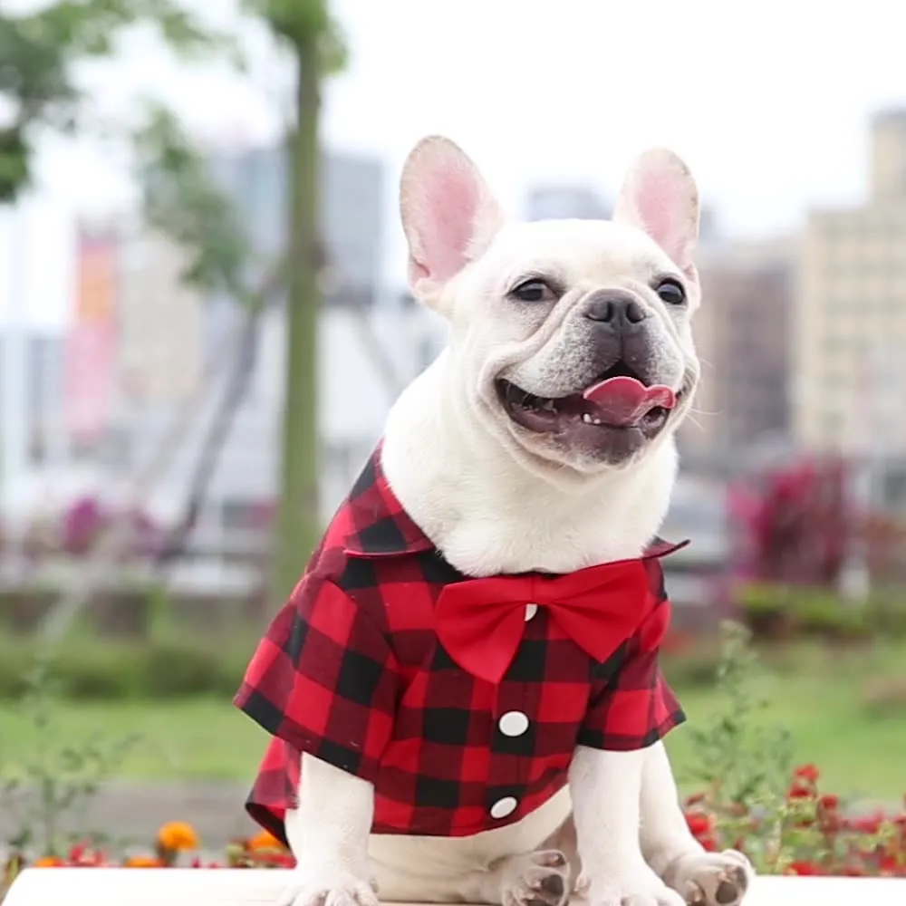 Bowtie Dog T-Shirts