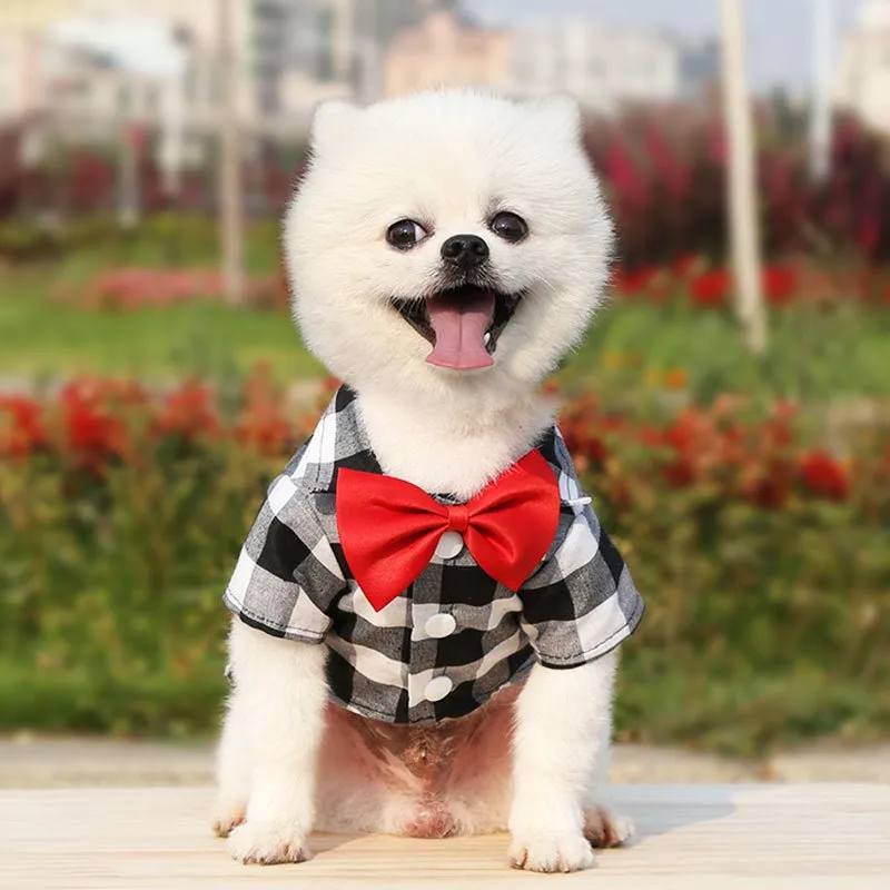 Bowtie Dog T-Shirts