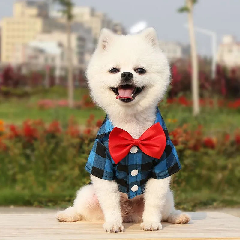 Bowtie Dog T-Shirts
