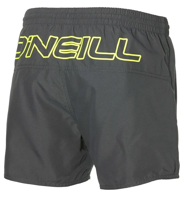 O'Neill Back Logo Shorts